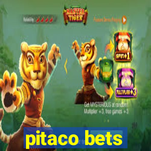 pitaco bets